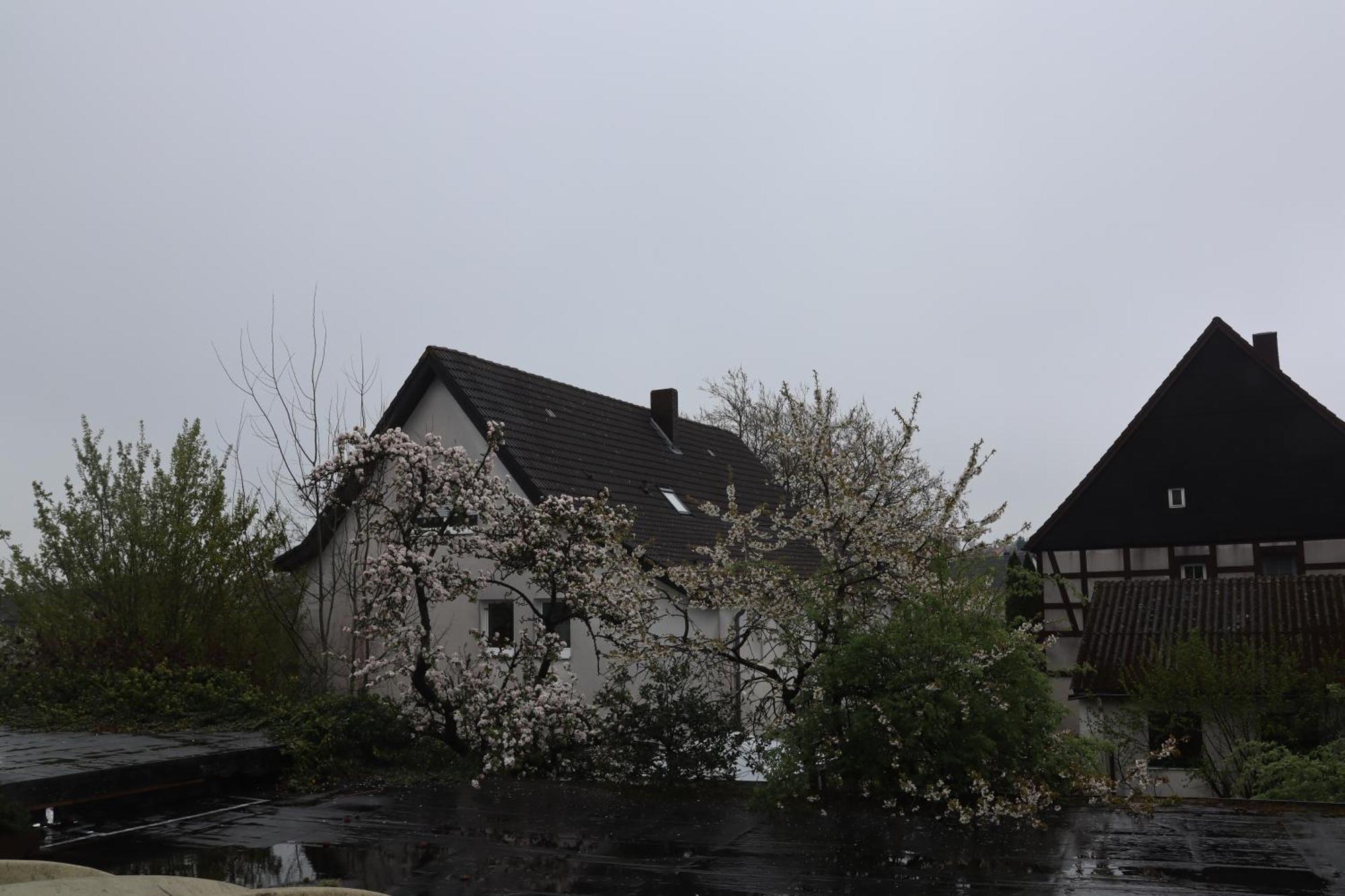 Hotel Haarener Hof Bad Wünnenberg المظهر الخارجي الصورة